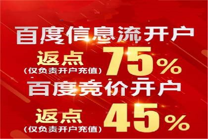 网络推广与竞价策略实战案例